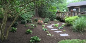 Softscaping Landscape Ideas