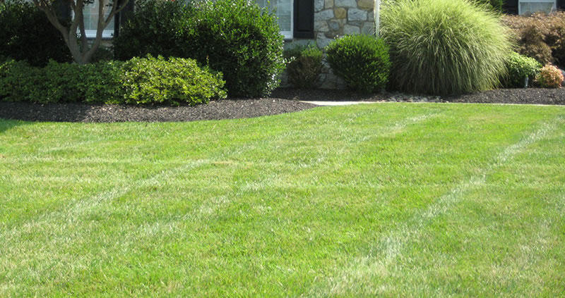 Top Dressing Your Lawn