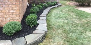 Landscaping Ideas For Large Backyards